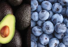 Cerro Prieto apuesta hasta US$ 76 millones en arándanos y ajusta estrategia en palta