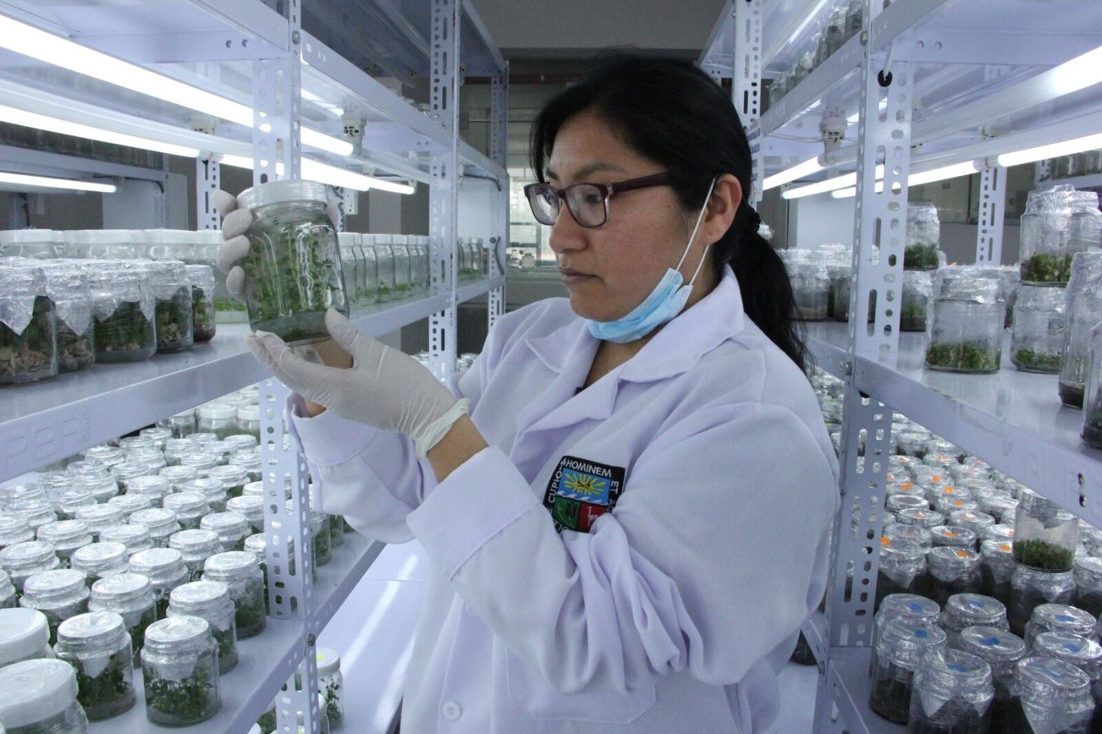 Prociencia y el CDTI de España financiarán proyectos de investigación de empresas peruanas y españolas. Foto: Prociencia