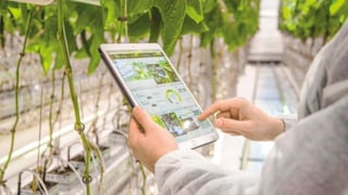 Española especializada en agricultura “siembra” en Perú su primera filial en Latinoamérica