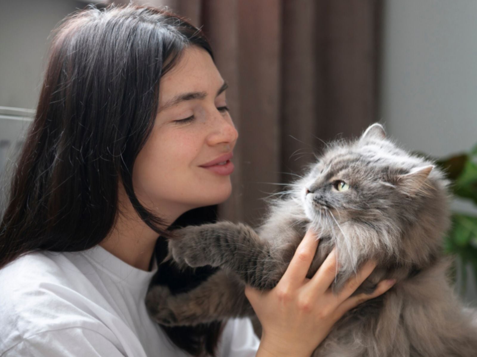 Las mascotas son parte fundamental de la vida de millones de ciudadanos en California (Foto: Magnific)