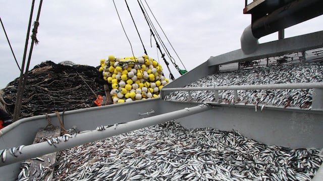 PJ deja al voto demanda de empresas pesqueras para pescar en áreas protegidas