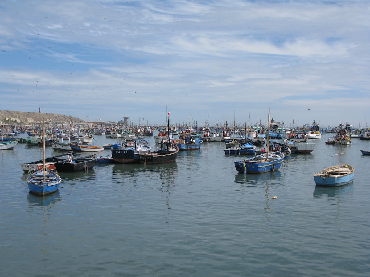 Pesca. (Foto: GEC)