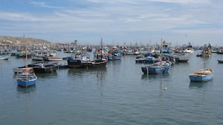 El Niño causa gran caída en pesca de anchoveta en Perú y eleva capturas de calamar gigante