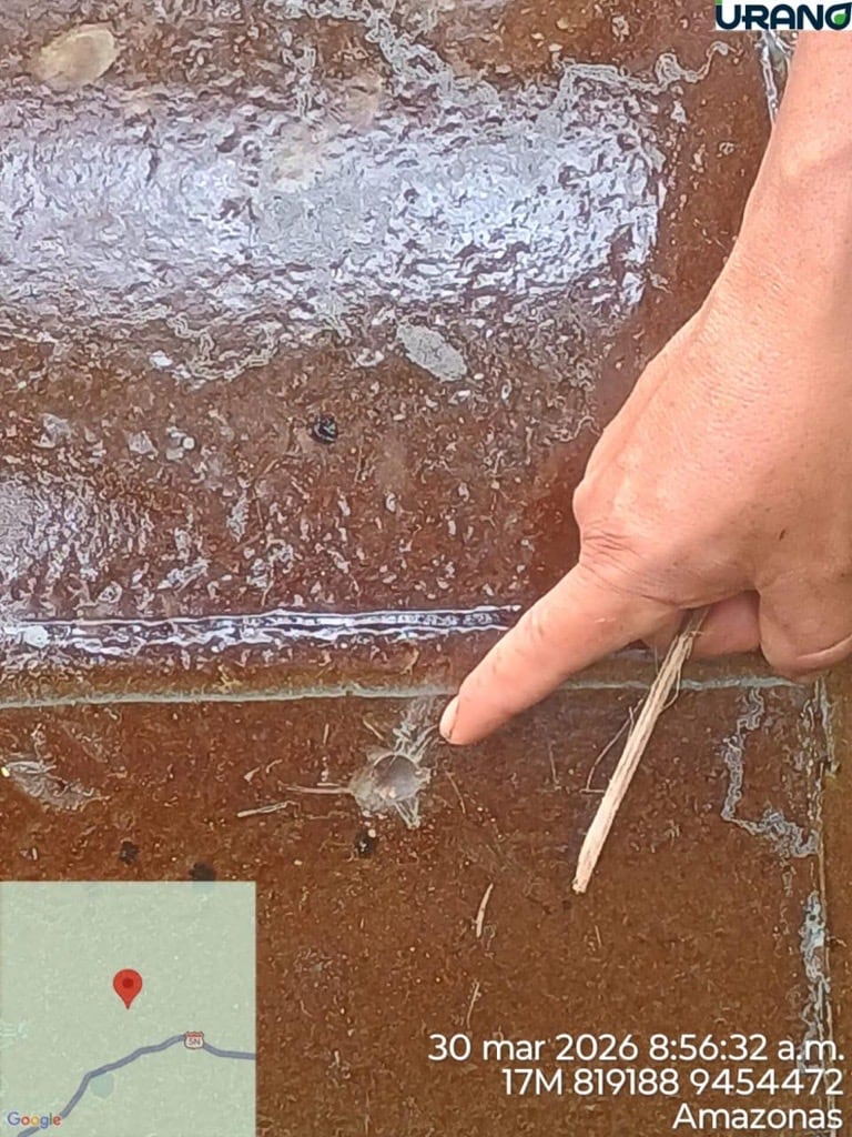 Oleoducto Nor Peruano sufrió una perforación causada por terceros en Amazonas