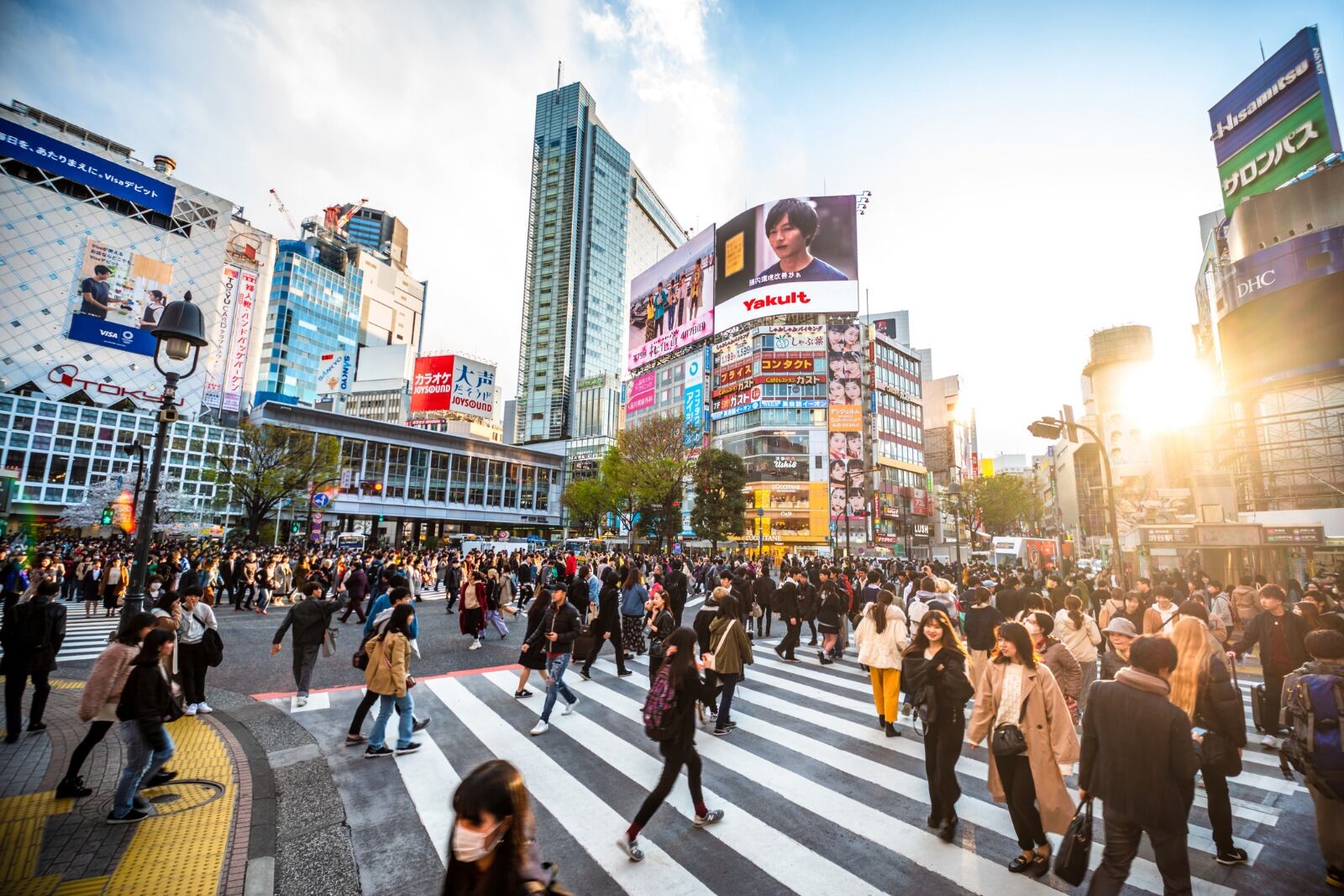 El cruce de Shibuya (Tokio), el camino pedestre más transitado del mundo (récord Guinness). Es un punto turístico con decenas, tal vez cientos, de personas filmándolo a cada momento.
