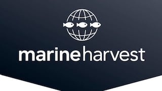 Marine Harvest ofrecería US$ 1,690 millones por Cermaq si esta desiste de comprar Copeinca