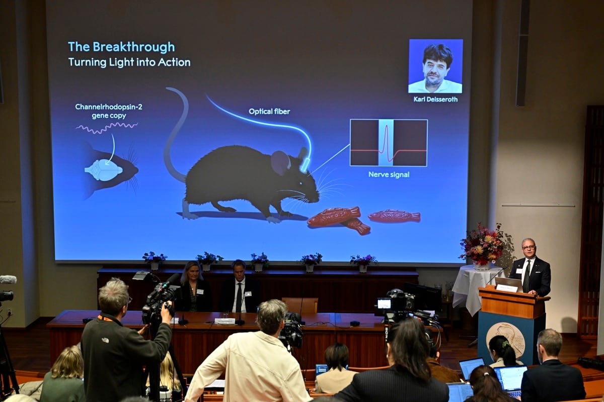 Miembros de la Asamblea del Nobel anuncian a los galardonados con el Premio Nobel de Fisiología o Medicina de 2026 durante una rueda de prensa en el Instituto Karolinska de Estocolmo (Suecia), el 5 de octubre de 2026. EFE/EPA/PONTUS LUNDAHL