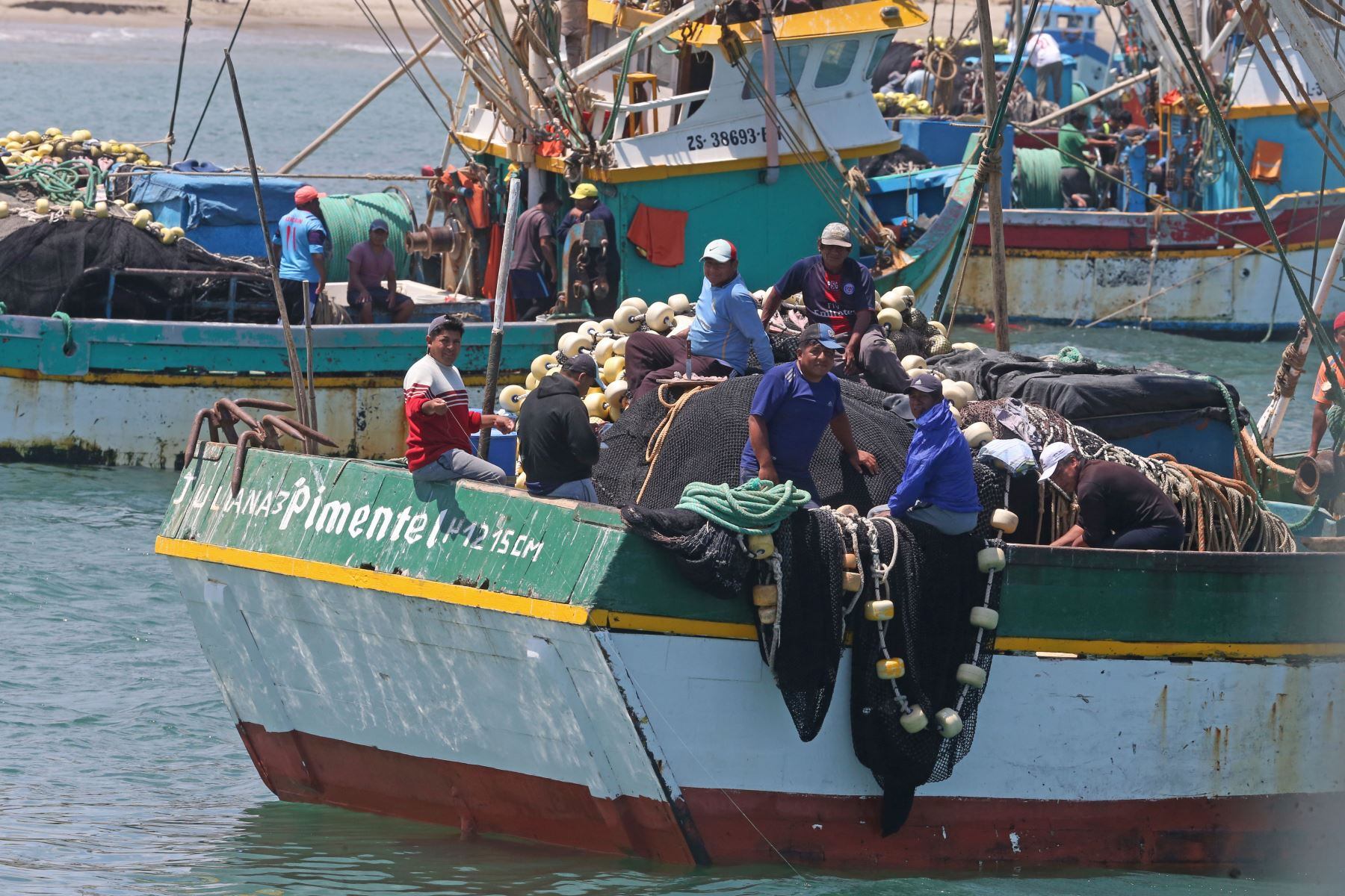 Pescadores artesanales en la costa norte peruana. Foto: Cortesía ANDINA/Vidal Tarqui.