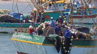 Produce publica medidas para el aprovechamiento del erizo en tres zonas marítimas