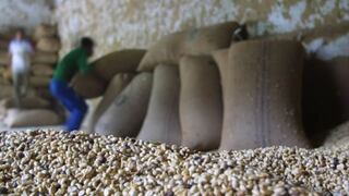Brasil pierde participación de mercado en exportaciones de café en temporada 2015/2016