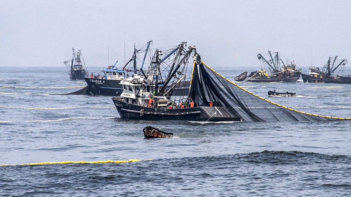 El Perú que produce y el Perú que recibe capital