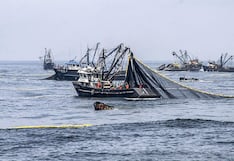 Anchoveta, atún y pota, las claves de la pesca en 2025: balance del sector