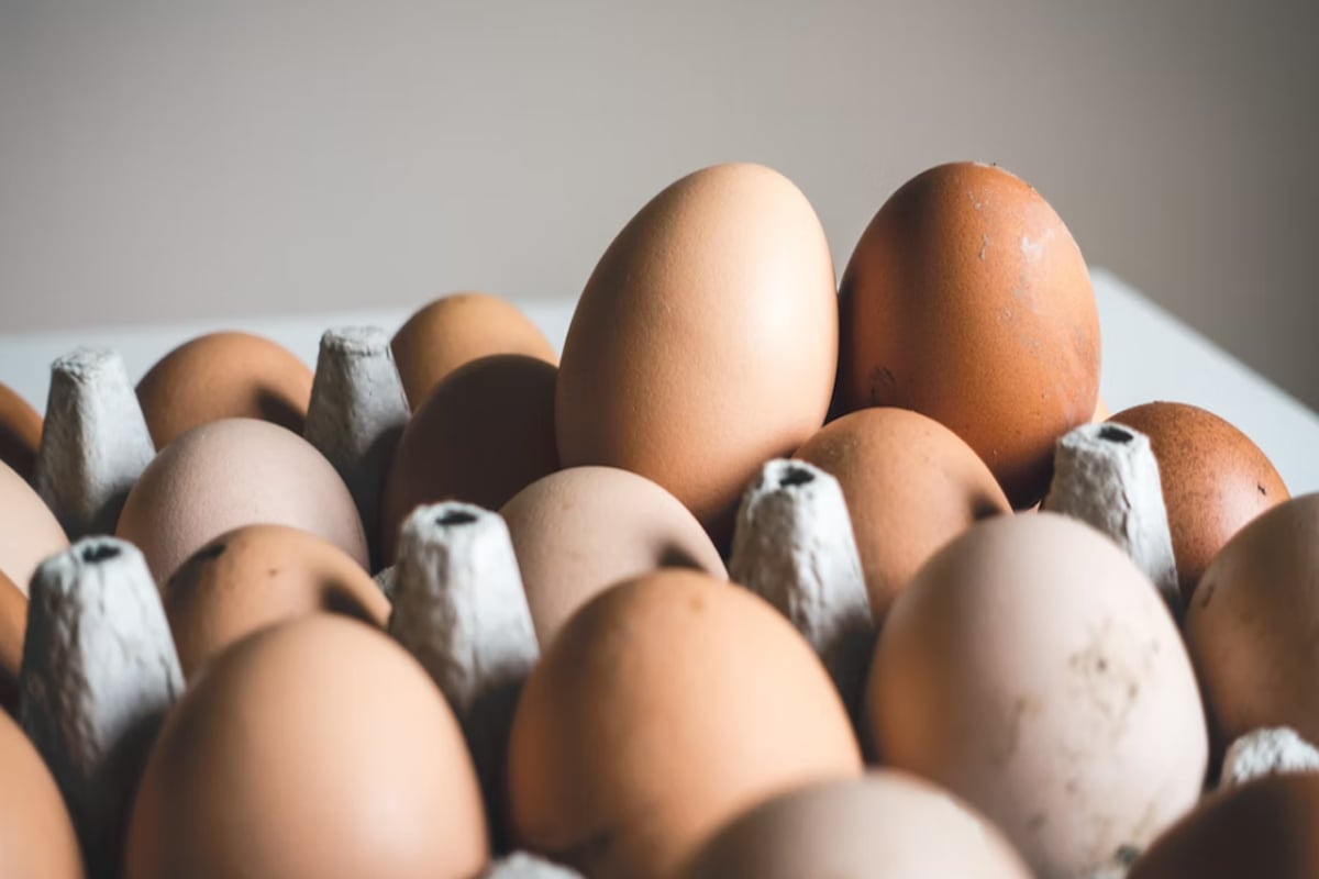 Precio del huevo aumenta en los mercados de Lima. (Foto: GEC)