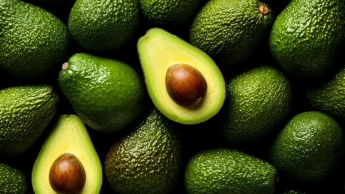Israelí Mehadrin apunta a llevar a 1,000 hectáreas sus cultivos de palta en Perú