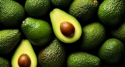 Palta hass: Perú, el segundo exportador mundial, teme perder dinamismo
