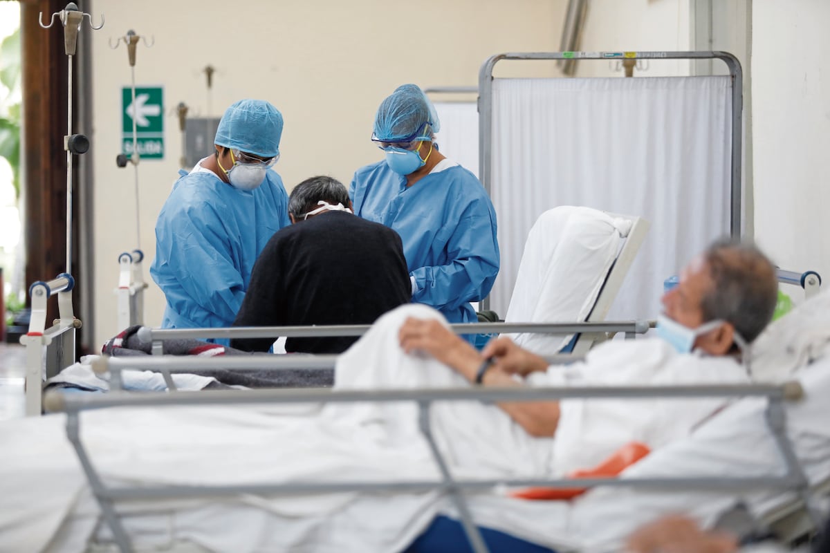 En lo que va del año 2023, la región Junín reporta 252 casos de leishmaniasis. (Foto: GEC)