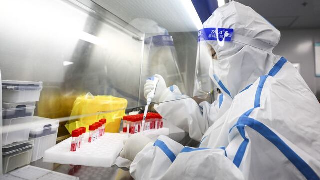 Un nuevo anticuerpo logra bloquear todas las variantes del SARS-CoV-2 en el laboratorio