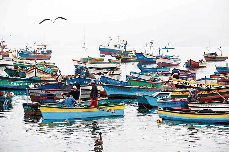 facilitarán el acceso a financiamiento para los agentes vinculados a la pesca y la acuicultura que resulten afectados