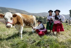 Producción agropecuaria creció en mayo impulsada por el avance agrícola y pecuario
