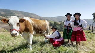Producción agropecuaria creció en mayo impulsada por el avance agrícola y pecuario