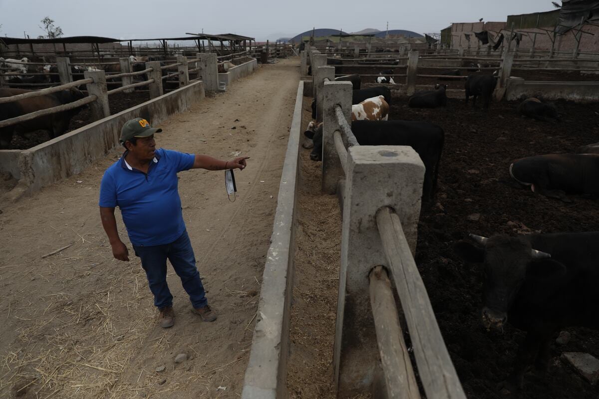 "Las empresas podrían optar por reducir los gastos no deducibles por falta de controles o sustento documentario". (Foto: Julio Rea–o | GEC)