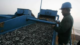 Pesquera Copeinca revisa oferta de China Fishery