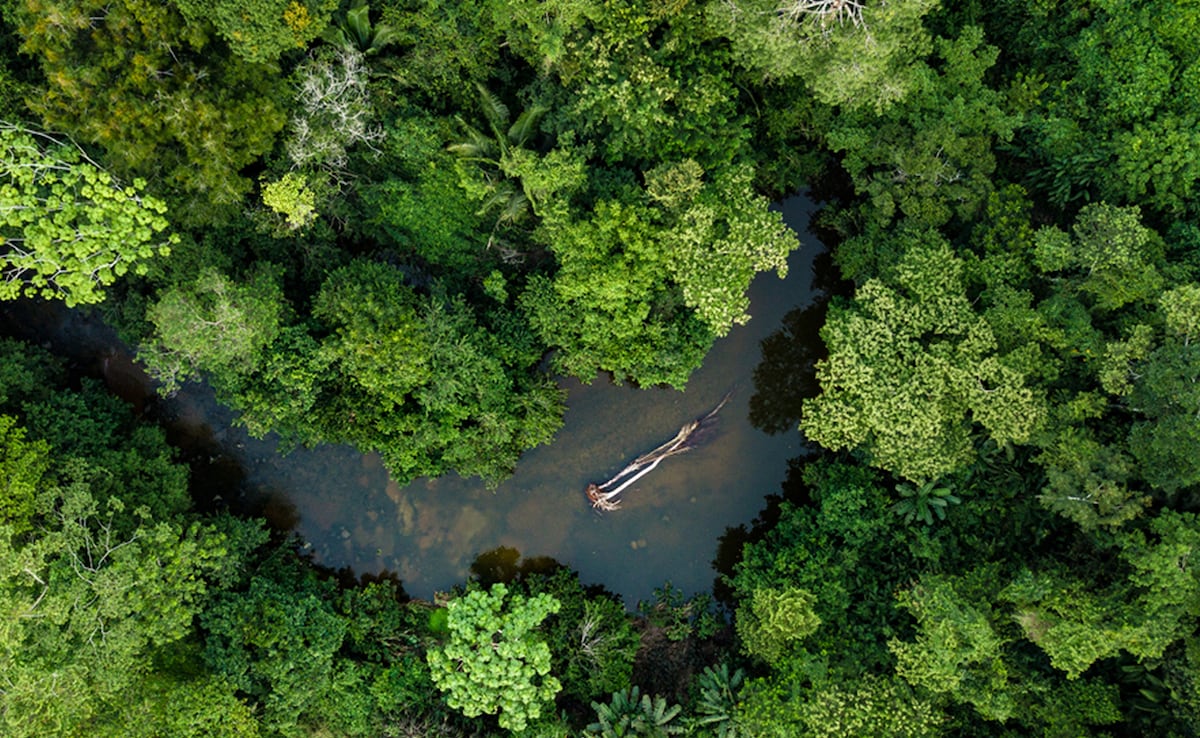 El Libro Guinness de los récords atribuye el trono al río africano (Foto: Shutterstock)