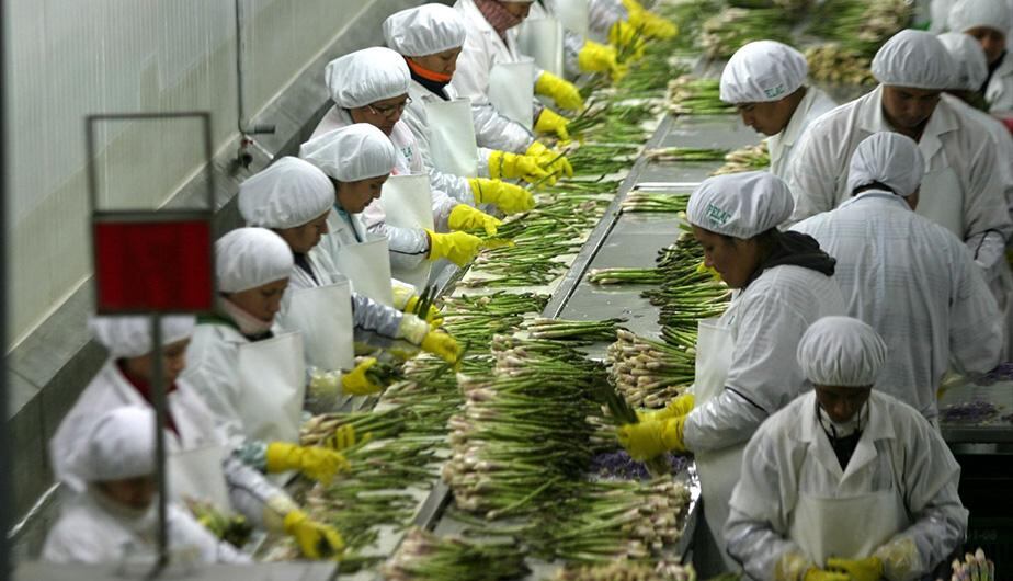 Las pymes prefieren postergar la decisión de invertir en un local pues son tickets elevados. (Andina)