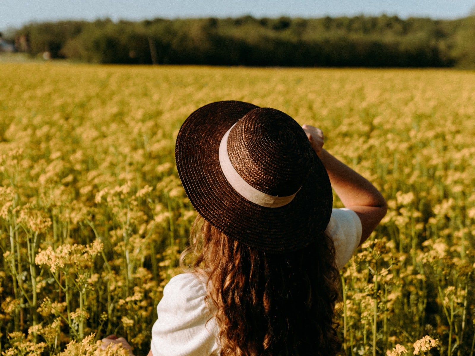 Las mejores frases y palabras para dar la bienvenida a la primavera 2023. (Foto: Pexels)