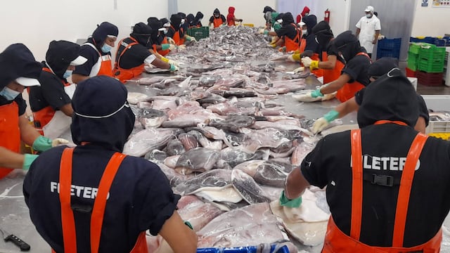 Colanfish busca llegar a nuevos mercados con su diversificación más allá de la pota