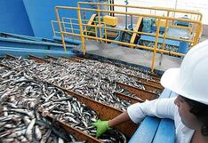 Extinción de dominio: Pescadores se pronuncian a favor de cambio de la norma