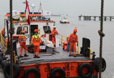 Cosmos en “expansión”: agencia marítima de Andino con la mira en Latam y Europa