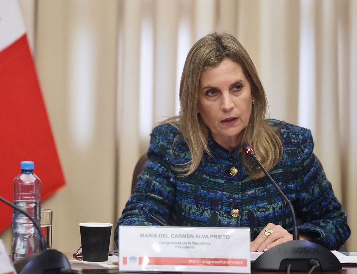 María del Carmen Alva, congresista de Acción Popular. (Foto: Congreso)