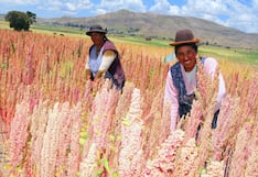 Agroexportaciones peruanas a Francia sin afectaciones pese a decreto sobre plaguicidas