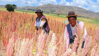 Agroexportaciones peruanas a Francia sin afectaciones pese a decreto sobre plaguicidas