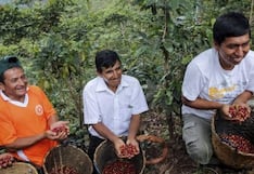 Productores cafetaleros recibieron fondos por la venta de bonos de carbono