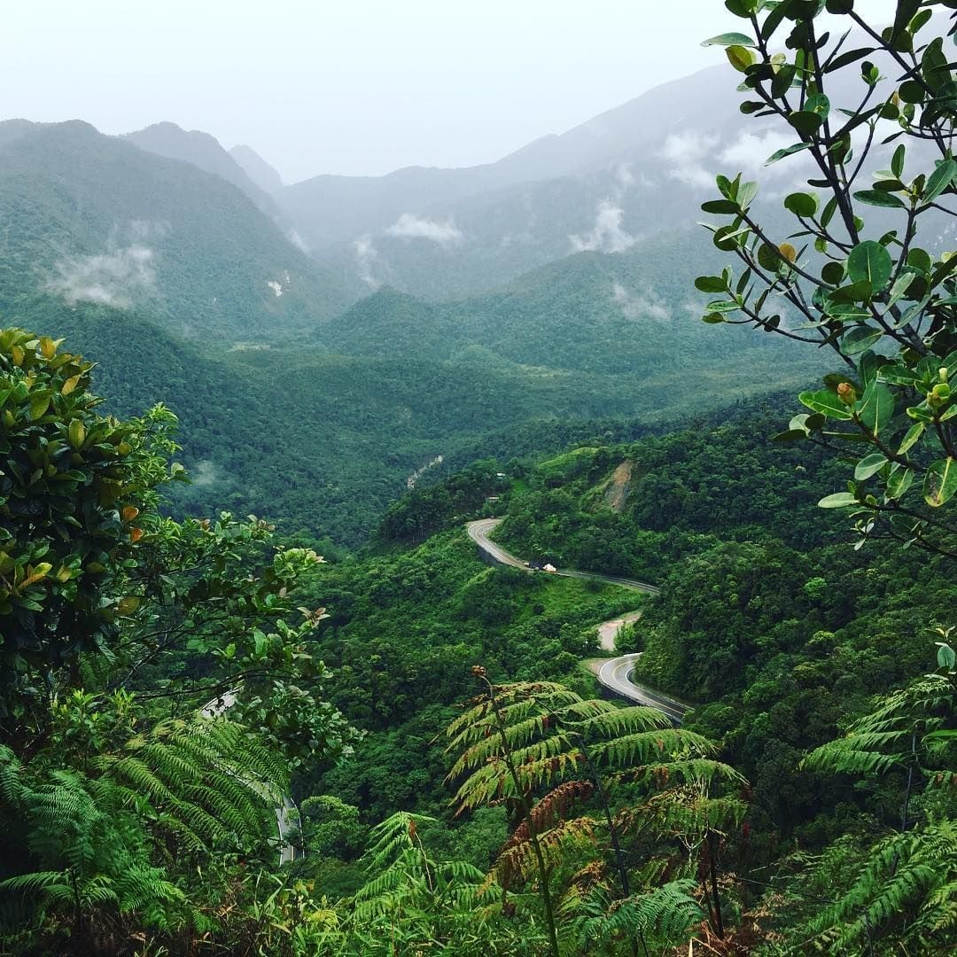 Altomayo es uno de los distritos de San Martín con mayos cantidad de lotizaciones. Foto: Entorno turístico