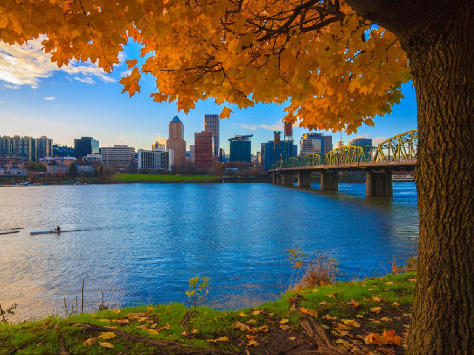 Las ciudades verdes pueden mejorar la calidad de vida de los residentes (Foto: Hertz)