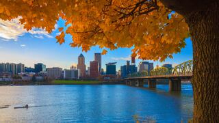 Las ciudades más verdes de Estados Unidos