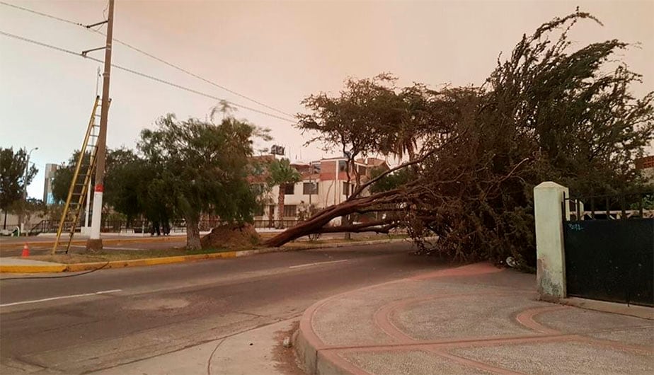 Los fenómenos se estiman se registren en la zona andina de 16 regiones del país. (Foto: Lisseth Torres de Plasencia / Facebook)