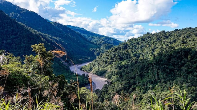 Minam: Perú obtiene US$ 12 millones para desarrollar proyectos de conservación ambiental 
