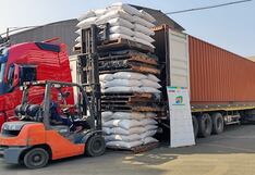 Productores de Ucayali exportan 175 toneladas de cacao a Estados Unidos, Italia y Países Bajos