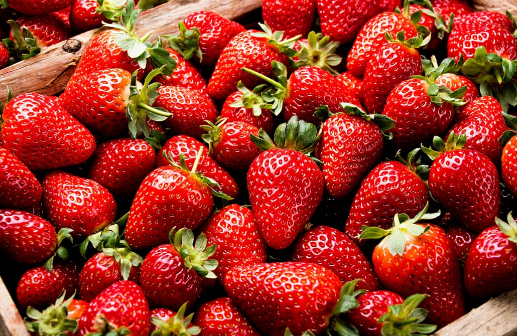 ¿Cuáles son las novedades sobre la fresa peruana? (Foto: Pexels)