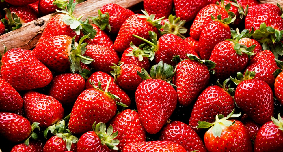 Perú impulsa exportaciones de fresa con crecimiento del 35.5%