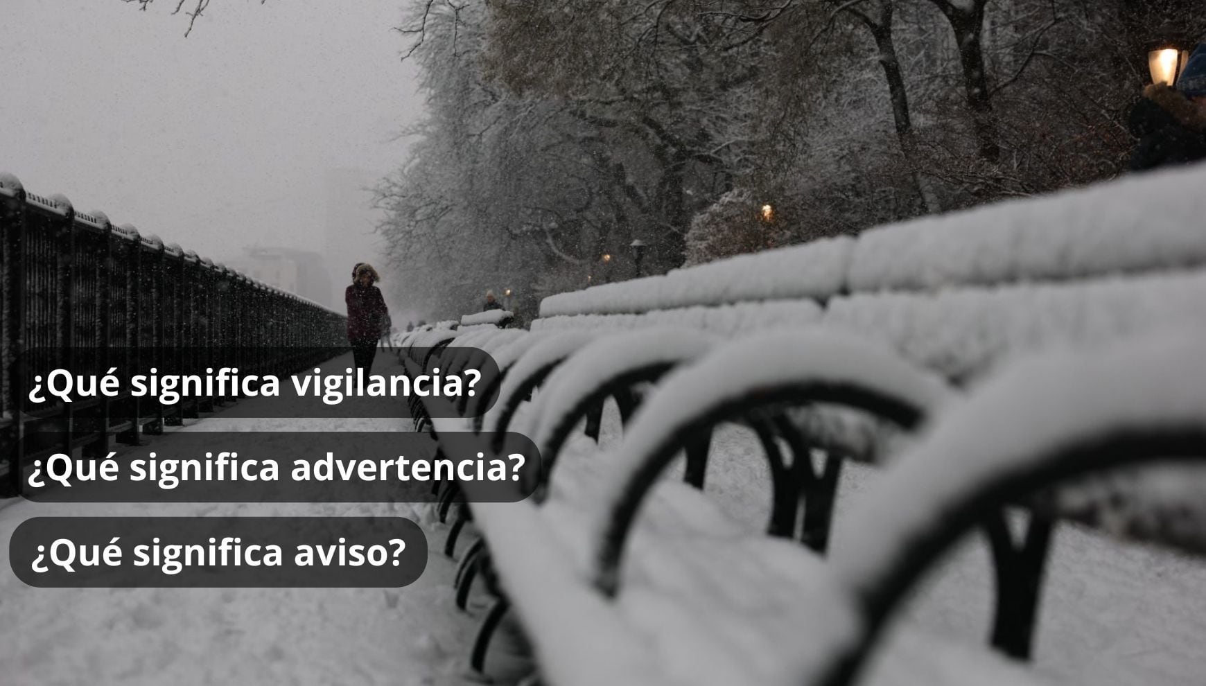 Ola de frío y fuertes nevadas en Estados Unidos. Aprende a identificar las alertas del NWS antes de salir de casa (Foto: AFP)