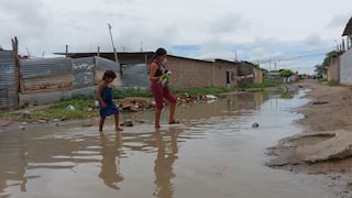 Leptospirosis amenaza al norte: niña fallece y hay más de 80 contagiados, ¿cómo protegerme?