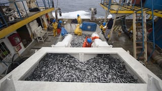 Pesqueras industriales buscan que se les permita realizar actividad en zonas protegidas