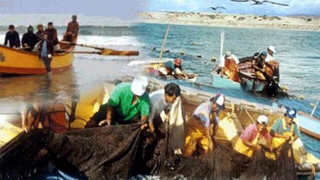 Sector pesca creció 12.66 % en el 2013 apoyado por un incremento en la captura de anchoveta