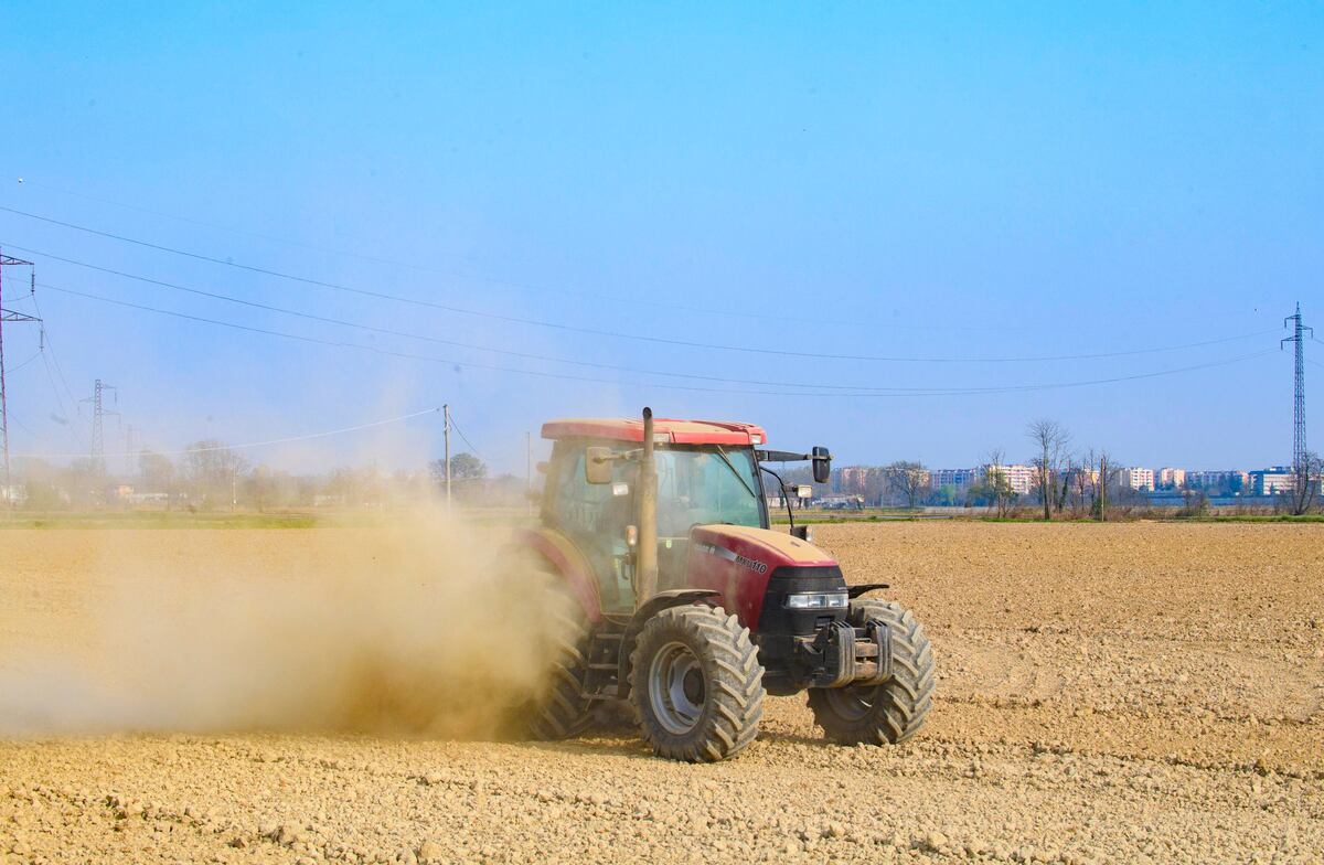 Giuseppe Ubertone un agricultor en el campo seco debido a la sequía en Azienda Agricola Ronchettone en Casalbuttano en Milán.