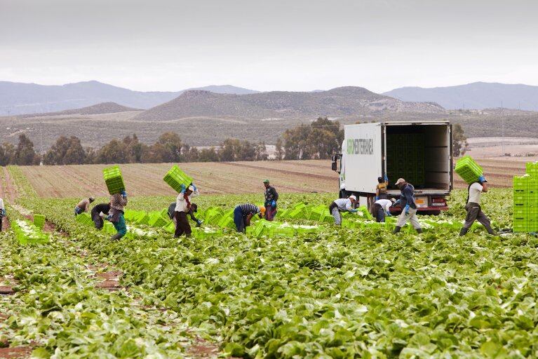En total, de los varios cientos de estanques estudiados, el 59 % no se ha inundado desde al menos 2013. (Foto: GEC)